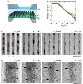 1719465118092 1719465118092
